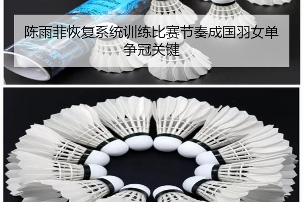 chen-yu-fei-hui-fu-xi-tong-xun-lian-bi-sai-jie-zou-cheng-guo-yu-nv-dan-zheng-guan-guan-jian-2-389.jpg