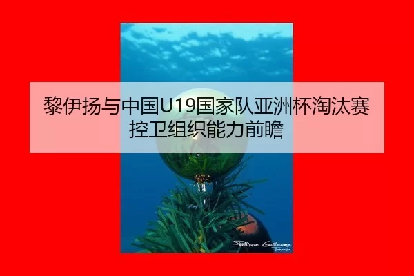 黎伊扬与中国U19国家队亚洲杯淘汰赛控卫组织能力前瞻