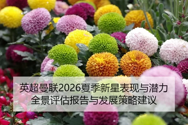 ying-chao-man-lian-xia-ji-xin-xing-biao-xian-yu-qian-li-quan-jing-ping-gu-bao-gao-yu-fa-zhan-ce-lve-jian-yi-2-560.jpg